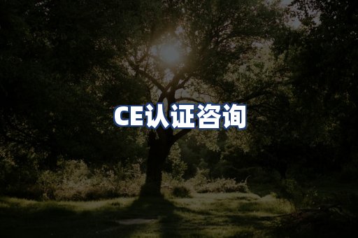 CE认证咨询